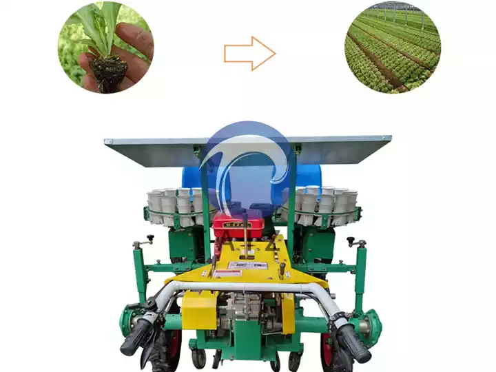 vegetable seedling transplanter machine for sale