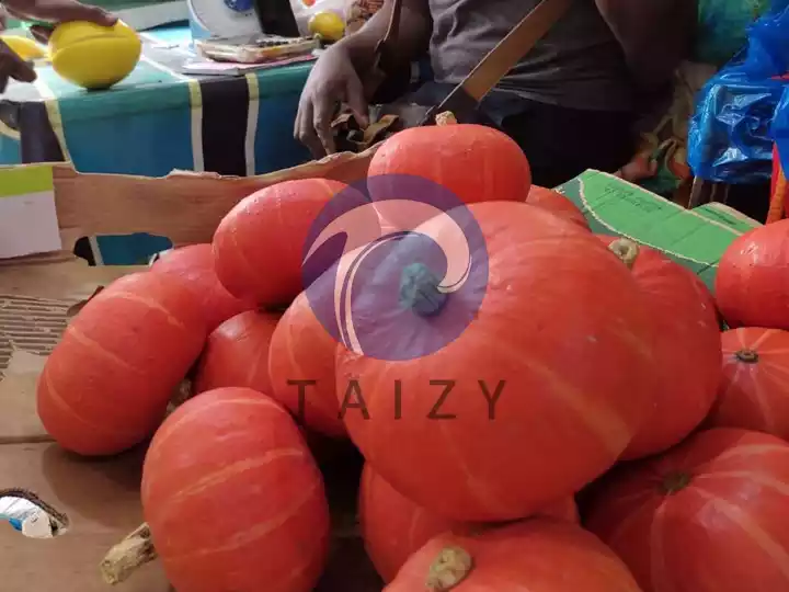 harvested pumpkins