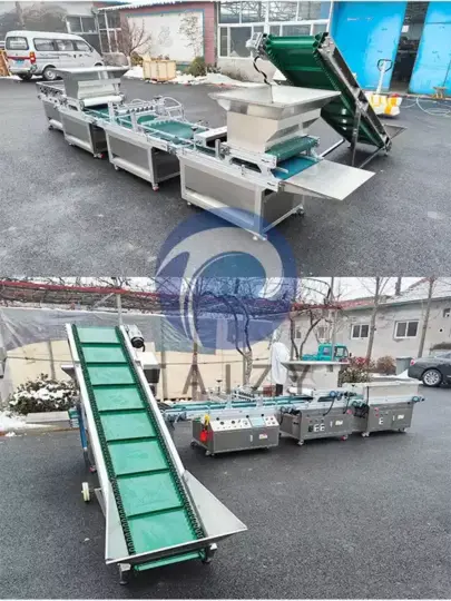 automatic nursery seedling machine