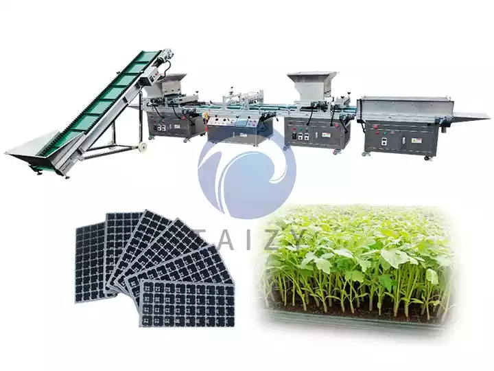 plug tray seeder machine