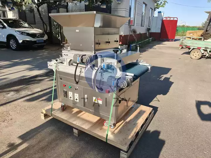 automatic nursery seeding machine