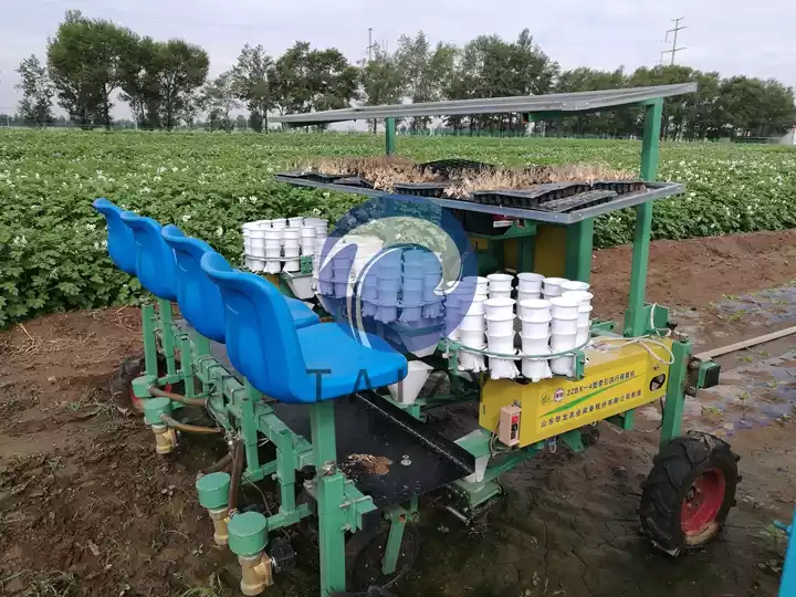 trasplantador de plántulas accionado por tractor