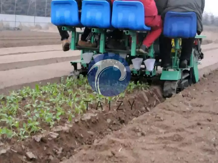 machine à transplanter les légumes