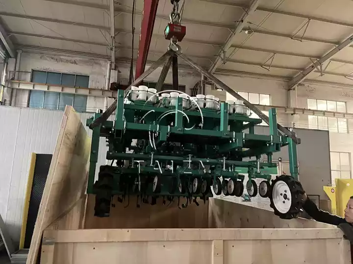 transplantadora de vivero de cebolla