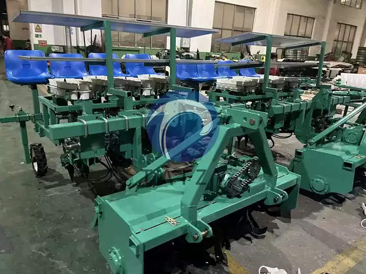 onion seedlings transplanter