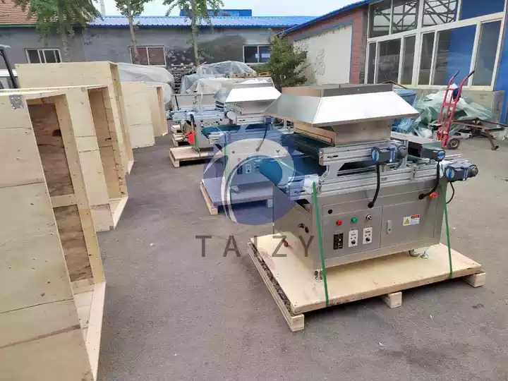 vegetable nursery seeders