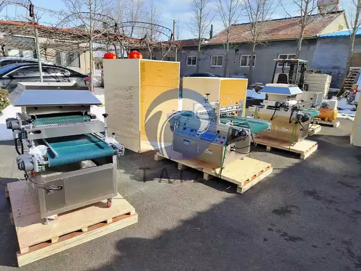 vegetable seeds nursery machines