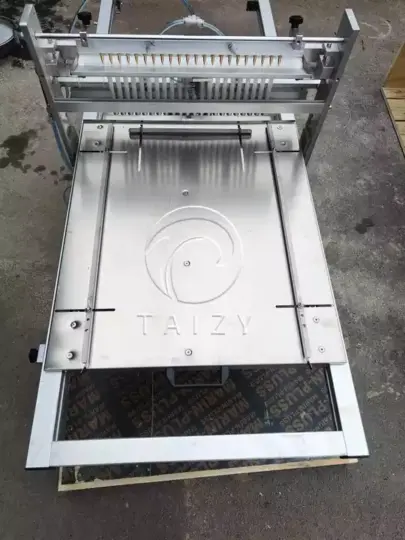 onion seedling machine