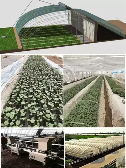 育苗机对小型农场有利可图