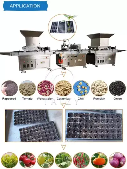 蔬菜育苗盘播种机应用