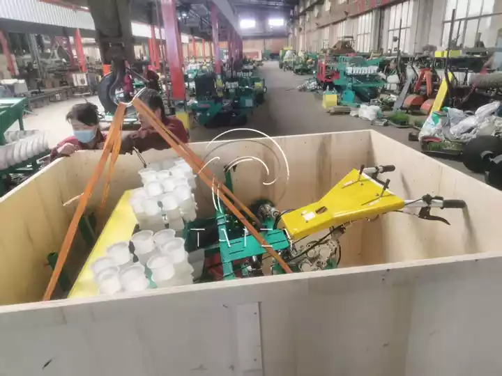 自动生菜移栽机