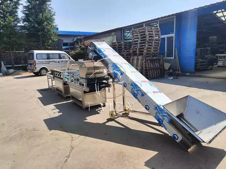 horticulture nursery tray seeding machines