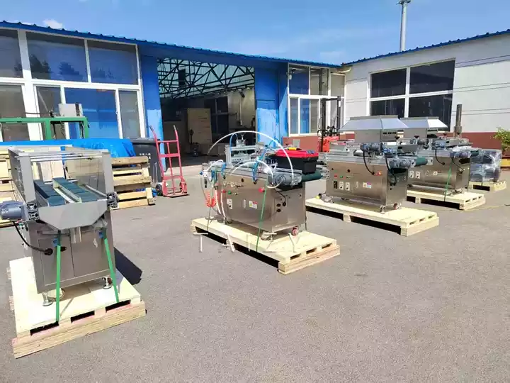 automatic seeder for nursery