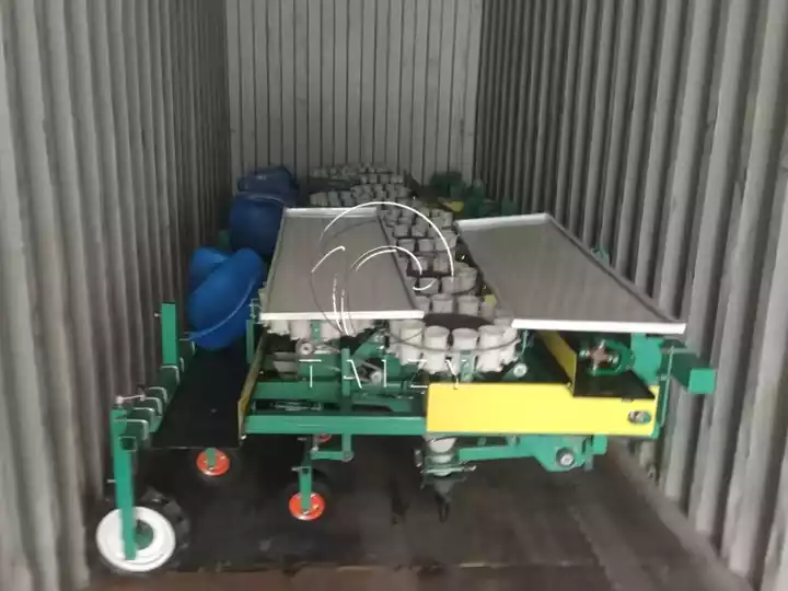Panicum seedling transplanter