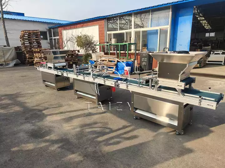 automatic tray seeding machine for sale