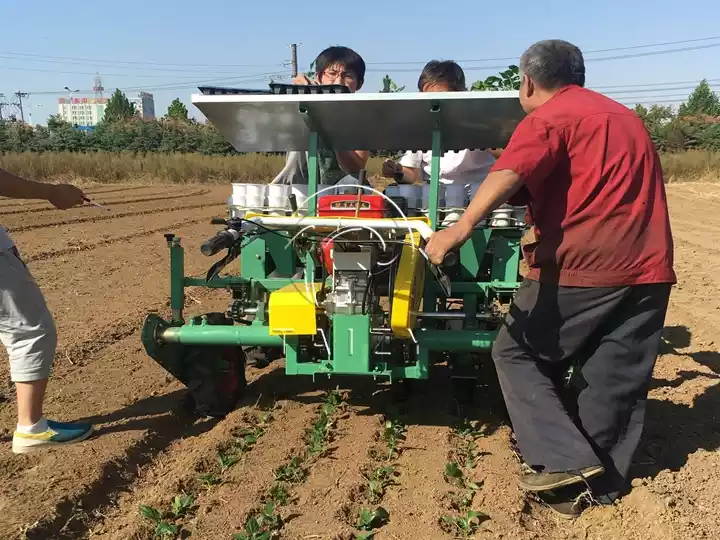 actual working scenarios of seedling grower