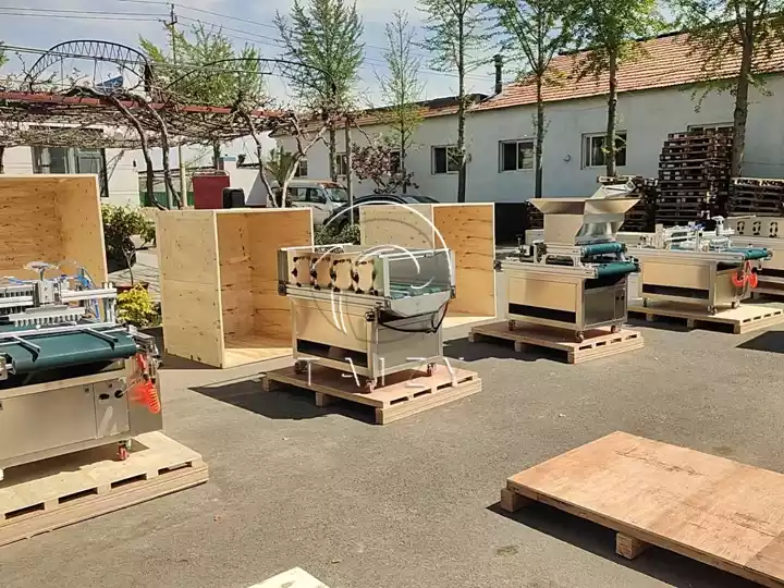 multi-row vegetable nursery seeders