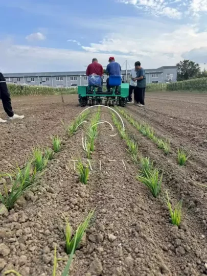 precision transplanter