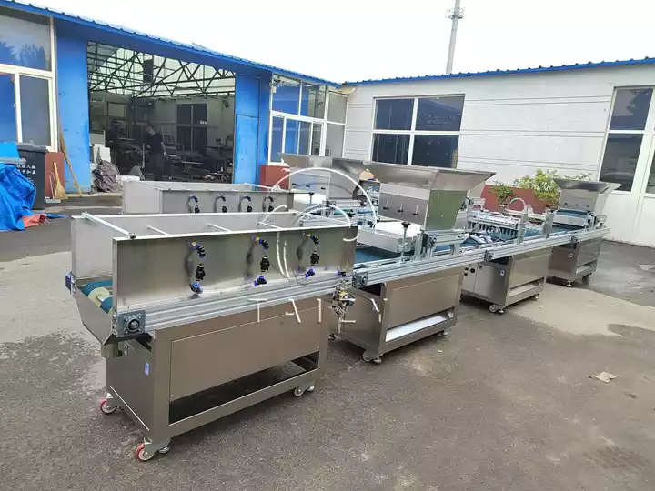 tomato nursery seeding machine with watering part