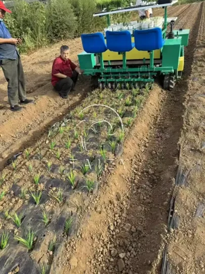 tracked seedling transplanter