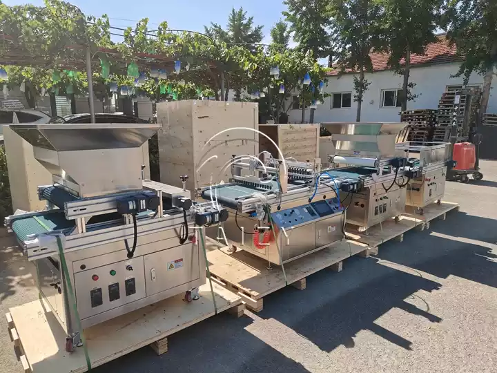 vegetable seedling production machine