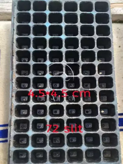 vegetable seedling tray