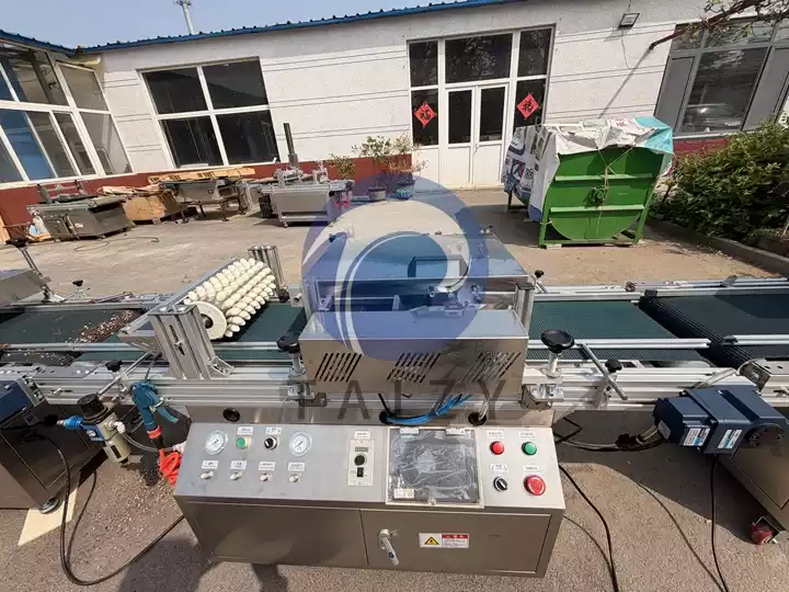 automatic seed sowing machine