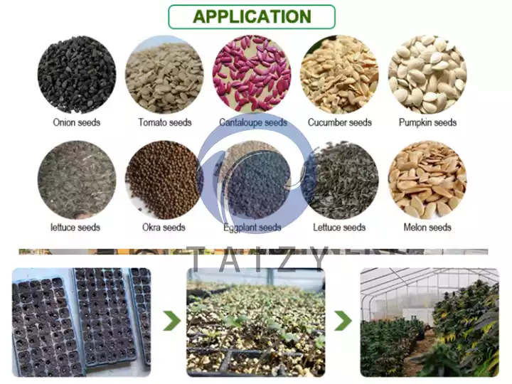 drum nursery seedling machine applications