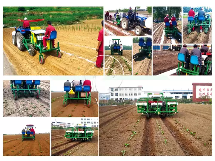 vegetable transplanting machine multiple models field operation